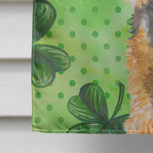 Load image into Gallery viewer, Welsh Terrier St Patrick's Flag Canvas House Size BB9874CHF