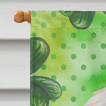 Load image into Gallery viewer, Afghan Hound St Patrick's Flag Canvas House Size BB9876CHF