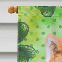 Load image into Gallery viewer, Akita St Patrick's Flag Canvas House Size BB9877CHF