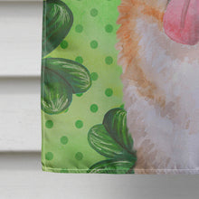 Load image into Gallery viewer, Akita St Patrick's Flag Canvas House Size BB9877CHF