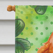 Load image into Gallery viewer, Cocker Spaniel St Patrick's Flag Canvas House Size BB9880CHF
