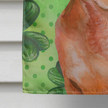 Load image into Gallery viewer, Red Dachshund St Patrick's Flag Canvas House Size BB9881CHF