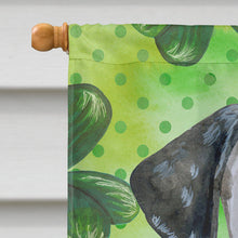 Load image into Gallery viewer, Dalmatian Puppy St Patrick's Flag Canvas House Size BB9882CHF