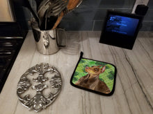 Load image into Gallery viewer, Doberman Pinscher St Patrick's Pot Holders - Set of 2 - Heat-Resistant Kitchen Essentials BB9883PTHD