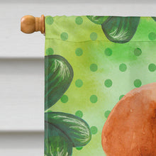 Load image into Gallery viewer, Labrador Retriever St Patrick's Flag Canvas House Size BB9888CHF