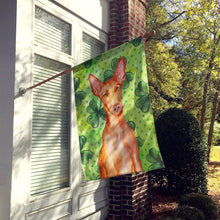 Load image into Gallery viewer, Pharaoh Hound St Patrick's Flag Canvas House Size BB9889CHF