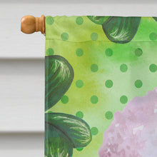 Load image into Gallery viewer, White Standard Poodle St Patrick's Flag Canvas House Size BB9891CHF