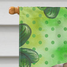 Load image into Gallery viewer, Fawn Pug St Patrick's Flag Canvas House Size BB9892CHF