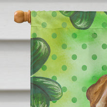 Load image into Gallery viewer, Shar Pei Puppy St Patrick's Flag Canvas House Size BB9893CHF