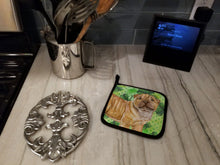 Load image into Gallery viewer, Shar Pei Puppy St Patrick's Pot Holders - Set of 2 - Heat-Resistant Kitchen Essentials BB9893PTHD