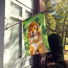 Load image into Gallery viewer, Tibetan Mastiff St Patrick's Flag Canvas House Size BB9895CHF