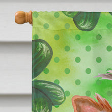 Load image into Gallery viewer, Yorkshire Terrier #2 St Patrick's Flag Canvas House Size BB9897CHF