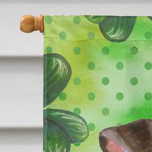Load image into Gallery viewer, Miniature Pinscher #2 St Patrick's Flag Canvas House Size BB9898CHF