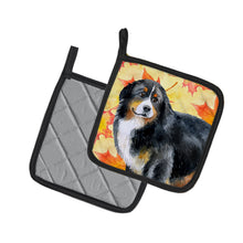 Load image into Gallery viewer, Bernese Mountain Dog Fall Pot Holders - Set of 2 - Heat-Resistant Kitchen Essentials BB9906PTHD