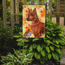 Load image into Gallery viewer, Miniature Pinscher Fall Garden Flag - Outdoor Decorative Yard Flag BB9917GF