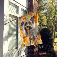 Load image into Gallery viewer, Chinese Crested Fall Flag Canvas House Size BB9920CHF