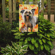Load image into Gallery viewer, Chinese Crested Fall Garden Flag - Outdoor Decorative Yard Flag BB9920GF