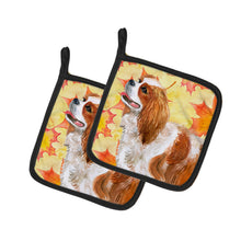 Load image into Gallery viewer, Cavalier Spaniel Fall Pot Holders - Set of 2 - Heat-Resistant Kitchen Essentials BB9924PTHD