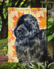 Load image into Gallery viewer, Newfoundland Fall Garden Flag - Outdoor Decorative Yard Flag BB9932GF