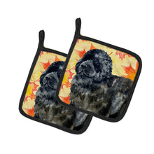 Load image into Gallery viewer, Newfoundland Fall Pot Holders - Set of 2 - Heat-Resistant Kitchen Essentials BB9932PTHD