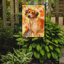 Load image into Gallery viewer, Rhodesian Ridgeback Fall Garden Flag - Outdoor Decorative Yard Flag BB9937GF