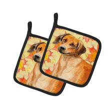 Load image into Gallery viewer, Rhodesian Ridgeback Fall Pot Holders - Set of 2 - Heat-Resistant Kitchen Essentials BB9937PTHD
