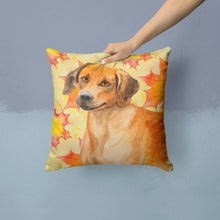 Load image into Gallery viewer, Rhodesian Ridgeback Fall Throw Pillow - 14x14 Decorative Pillow – Art for Your Home &amp; Patio BB9937PW1414
