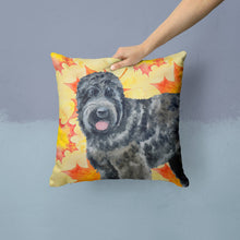 Load image into Gallery viewer, Black Russian Terrier Fall Throw Pillow - 14x14 Decorative Pillow – Art for Your Home &amp; Patio BB9938PW1414