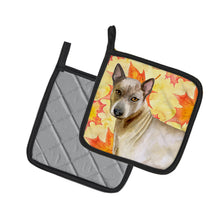Load image into Gallery viewer, Thai Ridgeback Fall Pot Holders - Set of 2 - Heat-Resistant Kitchen Essentials BB9941PTHD