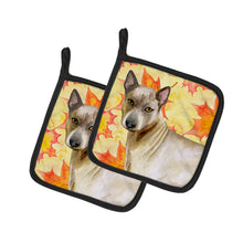 Load image into Gallery viewer, Thai Ridgeback Fall Pot Holders - Set of 2 - Heat-Resistant Kitchen Essentials BB9941PTHD