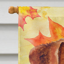 Load image into Gallery viewer, Jack Russell Terrier Fall Flag Canvas House Size BB9950CHF