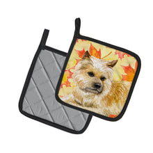 Load image into Gallery viewer, Cairn Terrier Fall Pot Holders - Set of 2 - Heat-Resistant Kitchen Essentials BB9951PTHD