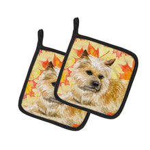 Load image into Gallery viewer, Cairn Terrier Fall Pot Holders - Set of 2 - Heat-Resistant Kitchen Essentials BB9951PTHD