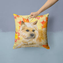 Load image into Gallery viewer, Cairn Terrier Fall Throw Pillow - 14x14 Decorative Pillow – Art for Your Home &amp; Patio BB9951PW1414