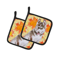 Load image into Gallery viewer, Siberian Husky Grey Fall Pot Holders - Set of 2 - Heat-Resistant Kitchen Essentials BB9957PTHD