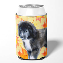 Load image into Gallery viewer, Newfoundland Puppy Fall Can or Bottle Hugger BB9960CC