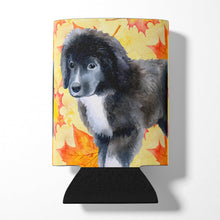 Load image into Gallery viewer, Newfoundland Puppy Fall Can or Bottle Hugger BB9960CC