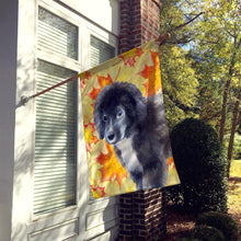 Load image into Gallery viewer, Newfoundland Puppy Fall Flag Canvas House Size BB9960CHF
