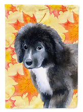 Load image into Gallery viewer, Newfoundland Puppy Fall Garden Flag - Outdoor Decorative Yard Flag BB9960GF