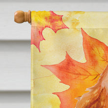 Load image into Gallery viewer, Cocker Spaniel Fall Flag Canvas House Size BB9967CHF