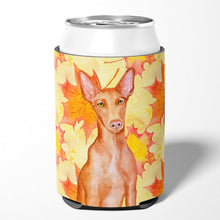 Load image into Gallery viewer, Pharaoh Hound Fall Can or Bottle Hugger BB9976CC