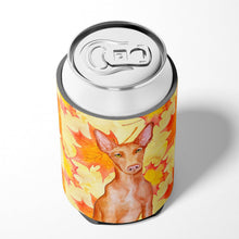 Load image into Gallery viewer, Pharaoh Hound Fall Can or Bottle Hugger BB9976CC