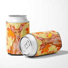 Load image into Gallery viewer, Pharaoh Hound Fall Can or Bottle Hugger BB9976CC