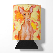 Load image into Gallery viewer, Pharaoh Hound Fall Can or Bottle Hugger BB9976CC