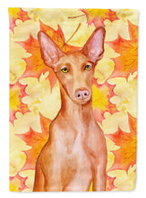 Load image into Gallery viewer, Pharaoh Hound Fall Flag Canvas House Size BB9976CHF