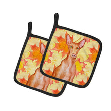 Load image into Gallery viewer, Pharaoh Hound Fall Pot Holders - Set of 2 - Heat-Resistant Kitchen Essentials BB9976PTHD