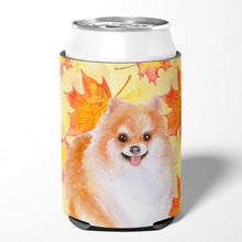 Load image into Gallery viewer, Pomeranian #2 Fall Can or Bottle Hugger BB9977CC