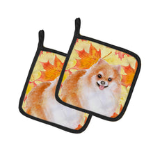 Load image into Gallery viewer, Pomeranian #2 Fall Pot Holders - Set of 2 - Heat-Resistant Kitchen Essentials BB9977PTHD