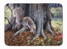 Load image into Gallery viewer, Grey Squirrels around the Tree Machine Washable Memory Foam Mat BDBA0260RUG
