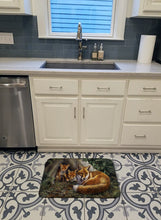 Load image into Gallery viewer, A Family of Foxes at Home Machine Washable Memory Foam Mat BDBA0283RUG